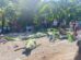 Silay 1