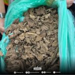 Inbound8182192722962837780