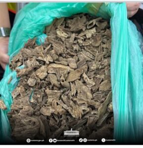 Inbound8182192722962837780