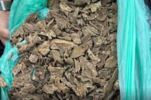 Inbound8182192722962837780