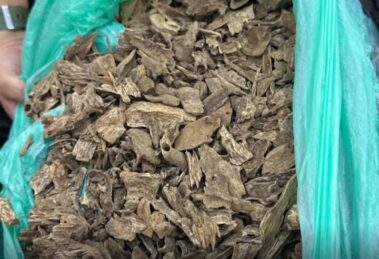 Inbound8182192722962837780