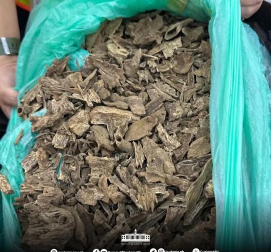 Inbound8182192722962837780