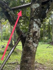 Inbound6032845873821318961