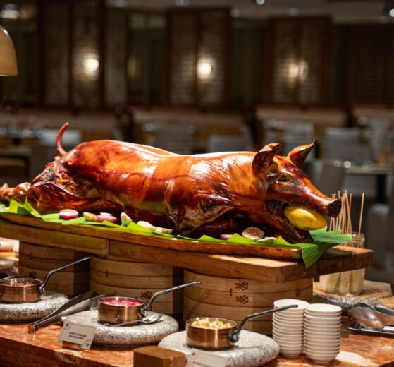 650230730 961352143131902 3108547322654703139 n